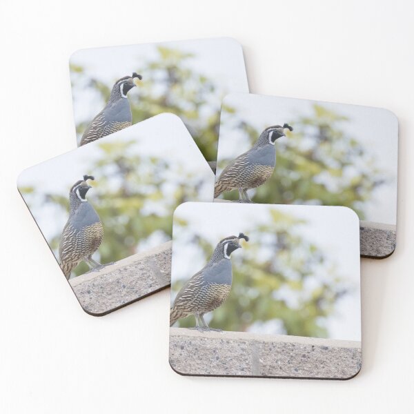 Item preview, California Quail designed and sold by LaurenTucker.