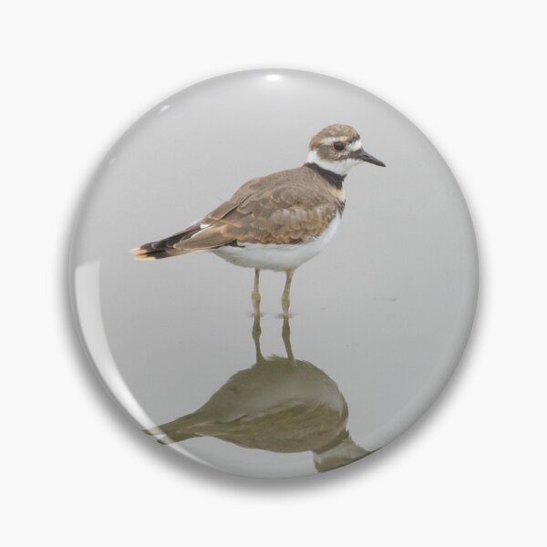 Item preview, Killdeer designed and sold by LaurenTucker.