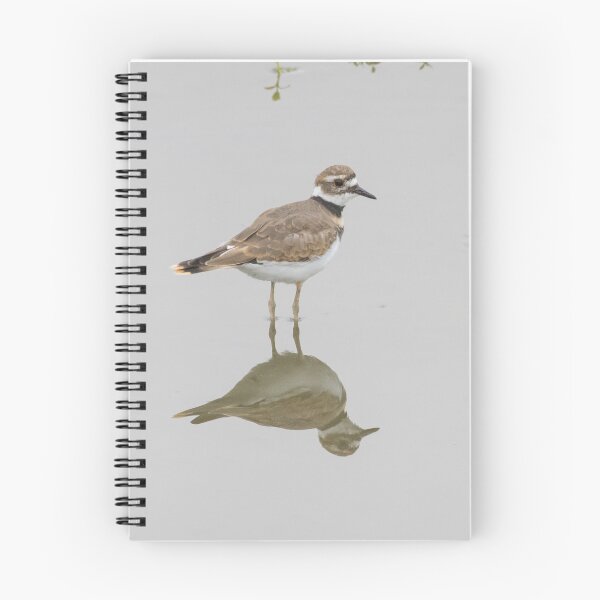 Item preview, Killdeer designed and sold by LaurenTucker.
