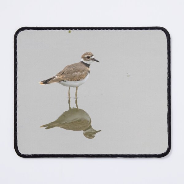 Item preview, Killdeer designed and sold by LaurenTucker.