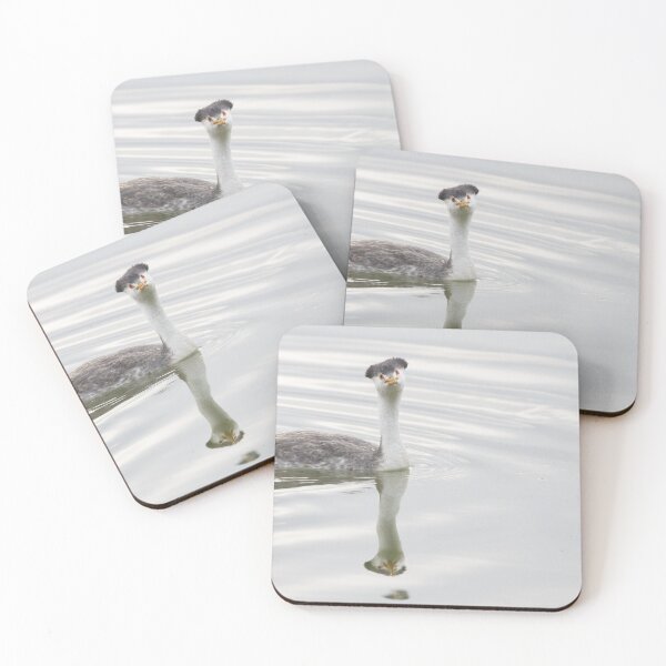 Item preview, Clark's Grebe designed and sold by LaurenTucker.