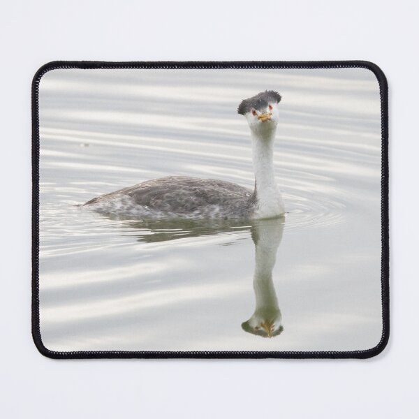 Item preview, Clark's Grebe designed and sold by LaurenTucker.