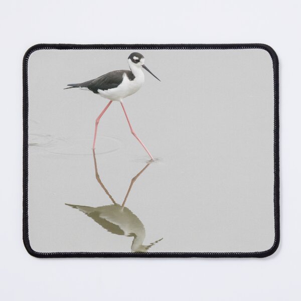 Item preview, Black Necked Stilt designed and sold by LaurenTucker.