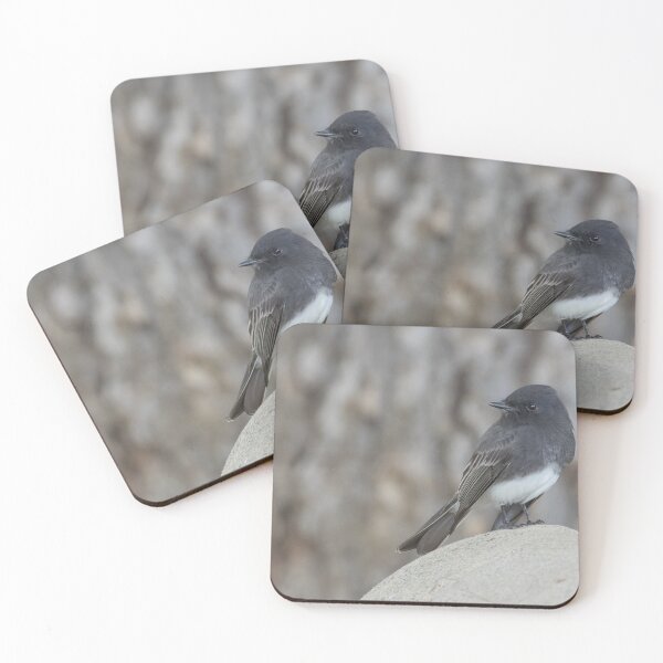Item preview, Black Phoebe designed and sold by LaurenTucker.