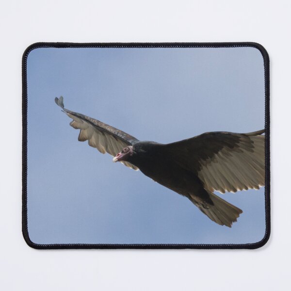 Item preview, Turkey Vulture designed and sold by LaurenTucker.
