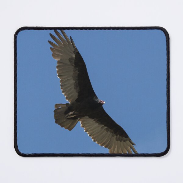 Item preview, Turkey Vulture designed and sold by LaurenTucker.