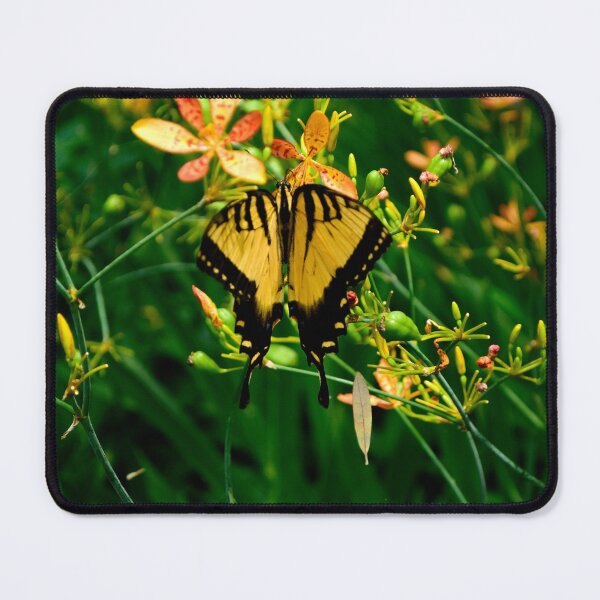 Item preview, Butterfly and Iris Domestica designed and sold by MercerImages.