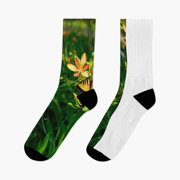 Item preview, Butterfly and Iris Domestica designed and sold by MercerImages.