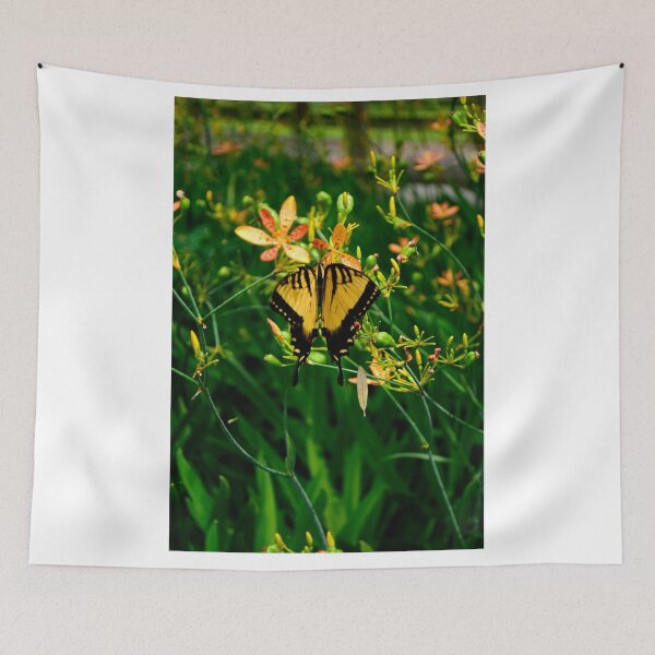 Item preview, Butterfly and Iris Domestica designed and sold by MercerImages.
