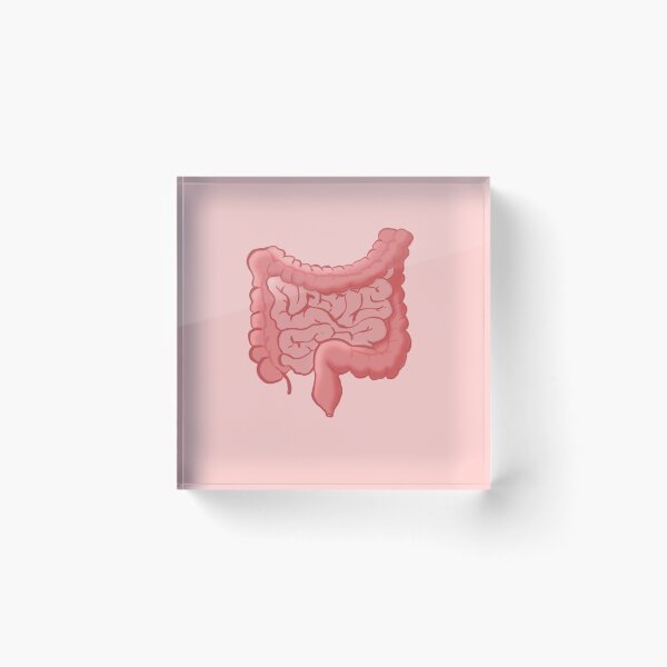 Item preview, Intestine pink designed and sold by Mermaidssparkle.