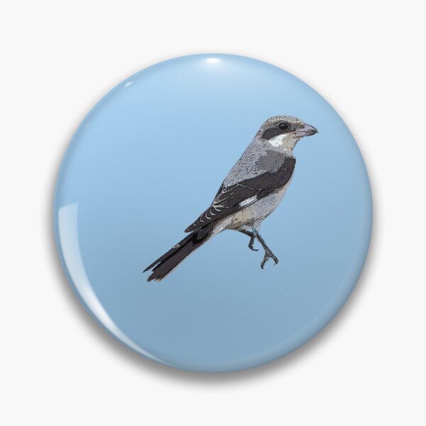 Item preview, Lesser Gray Shrike Color Design  designed and sold by designsasstultd.