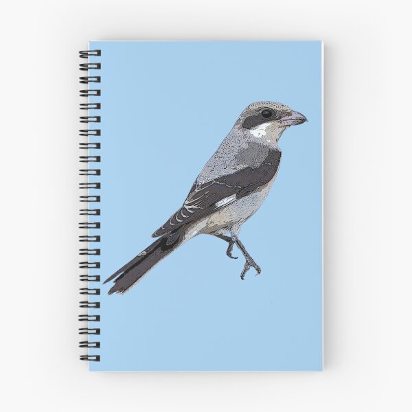 Item preview, Lesser Gray Shrike Color Design  designed and sold by designsasstultd.