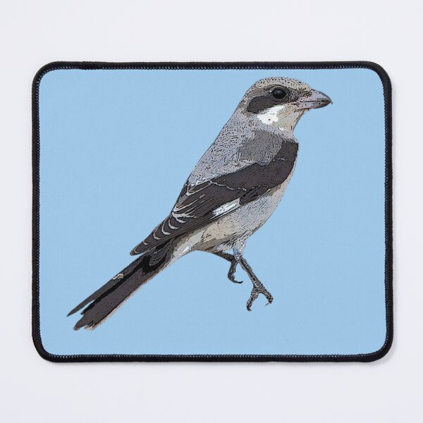 Item preview, Lesser Gray Shrike Color Design designed and sold by designsasstultd.