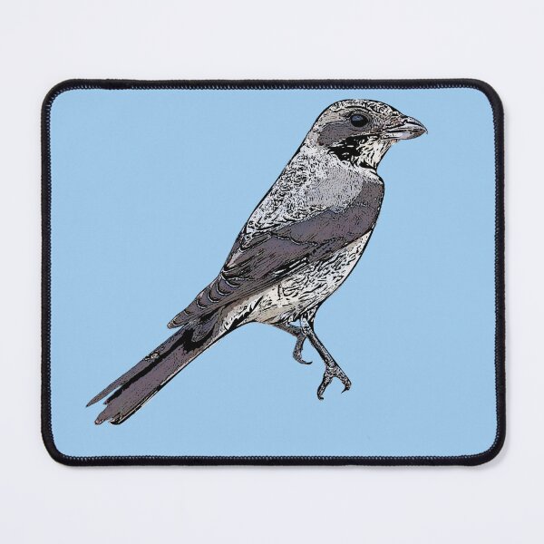 Item preview, Lesser Gray Shrike Black Alternate Design designed and sold by designsasstultd.