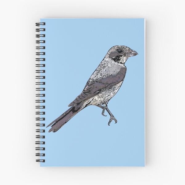 Item preview, Lesser Gray Shrike Black Alternate Design  designed and sold by designsasstultd.
