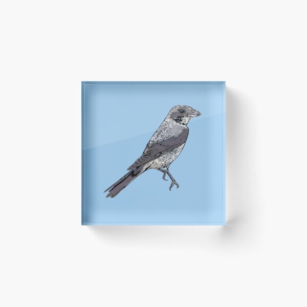 Item preview, Lesser Gray Shrike Black Alternate Design  designed and sold by designsasstultd.