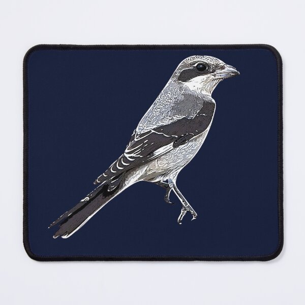 Item preview, Lesser Gray Shrike White Alternate Design designed and sold by designsasstultd.