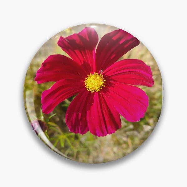 Item preview, Cosmos Bipinnatus - Bloom Like a Flower  designed and sold by GusiaTreasures.