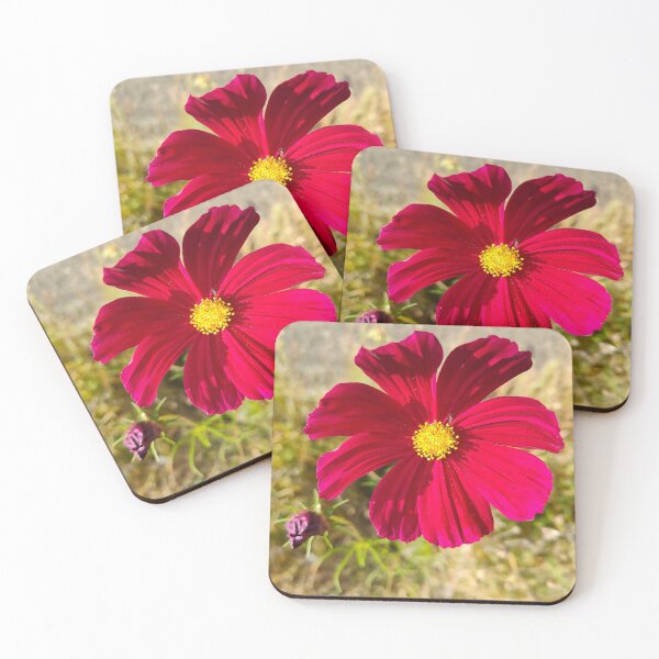 Item preview, Cosmos Bipinnatus - Bloom Like a Flower  designed and sold by GusiaTreasures.