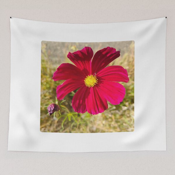 Item preview, Cosmos Bipinnatus - Bloom Like a Flower  designed and sold by GusiaTreasures.
