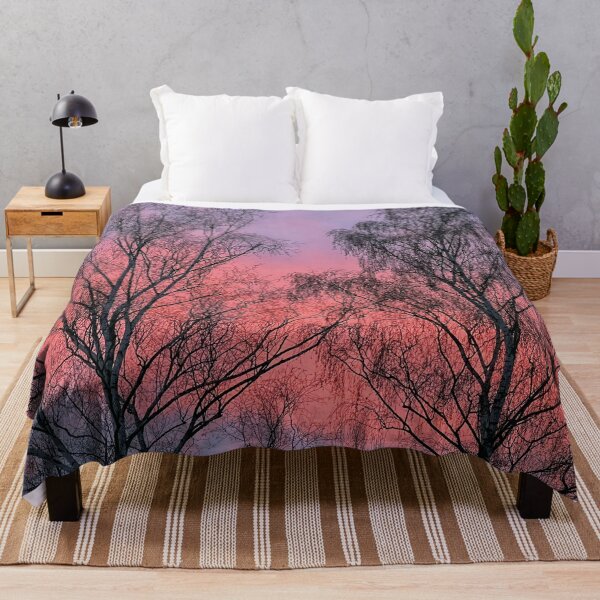 Item preview, Birch trees in a winter sunset designed and sold by Eva Studená Photography.