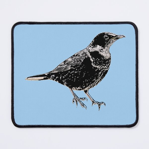 Item preview, Ring Ouzel Black Alternate Design designed and sold by designsasstultd.
