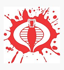 Cobra Photographic Print