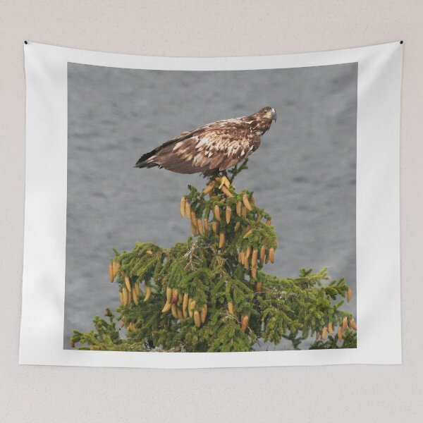 Item preview, White tailed Eagle designed and sold by FotoJarmo.
