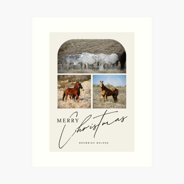 Item preview, Wild Brumby 2024 Christmas Card designed and sold by DiamondR.