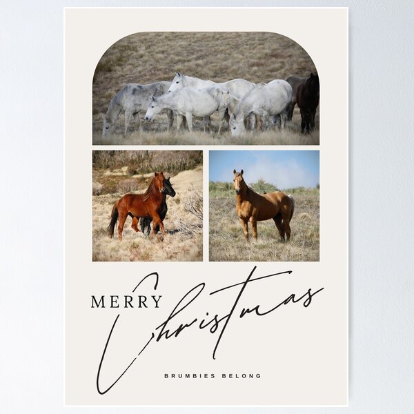Item preview, Wild Brumby 2024 Christmas Card designed and sold by DiamondR.