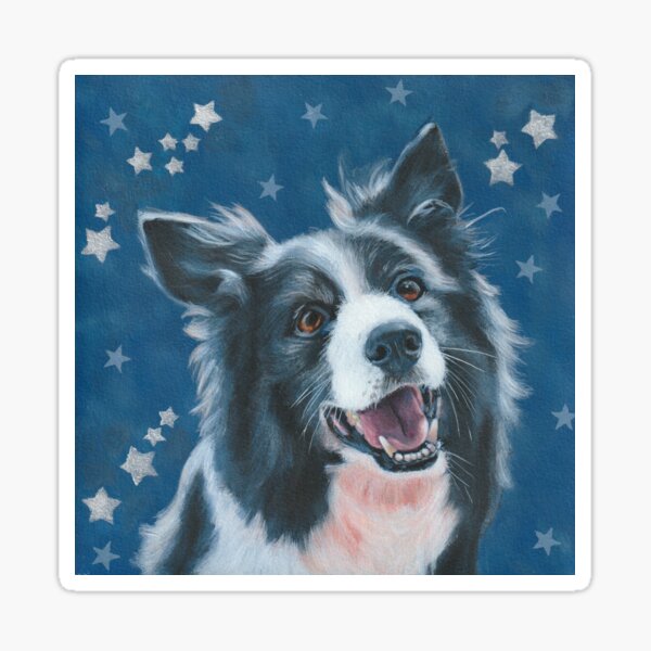 Border Collie with Falling Stars Sticker