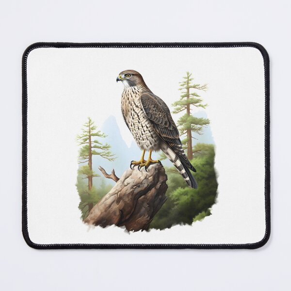 Item preview, Sparrowhawk bird designed and sold by DerSenat.