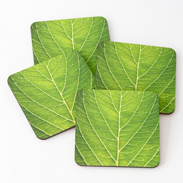 Item preview, Green leaf strong veins - nature photography designed and sold by NiftyPatterns.