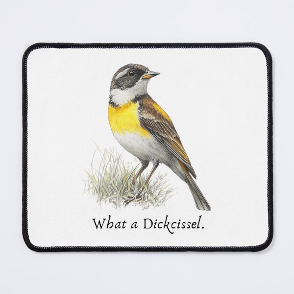 Item preview, Dirty Birds of the Midwest designed and sold by elmtreefilms77.