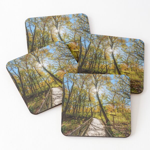 Item preview, Fall Season Forest Hike And Sunburst designed and sold by mljdwhite.
