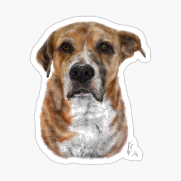 Looking Suave Handsome Pup Sticker