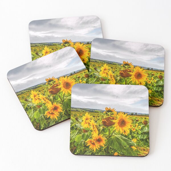Item preview, Sunflowers designed and sold by Paul Thompson Photography.