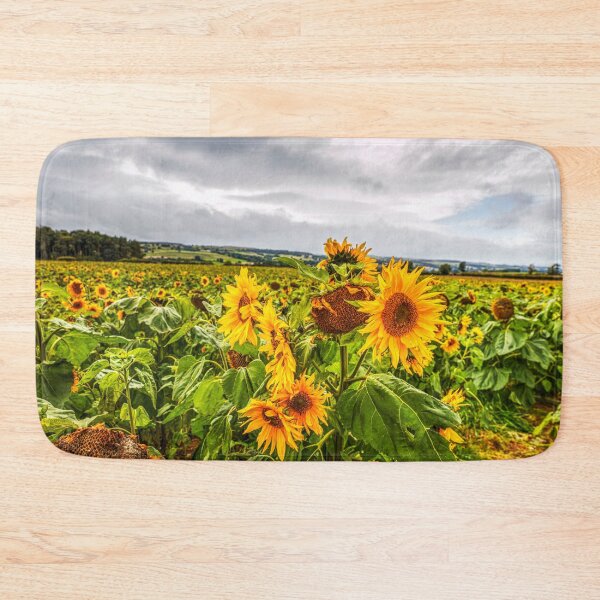 Item preview, Sunflowers designed and sold by Paul Thompson Photography.