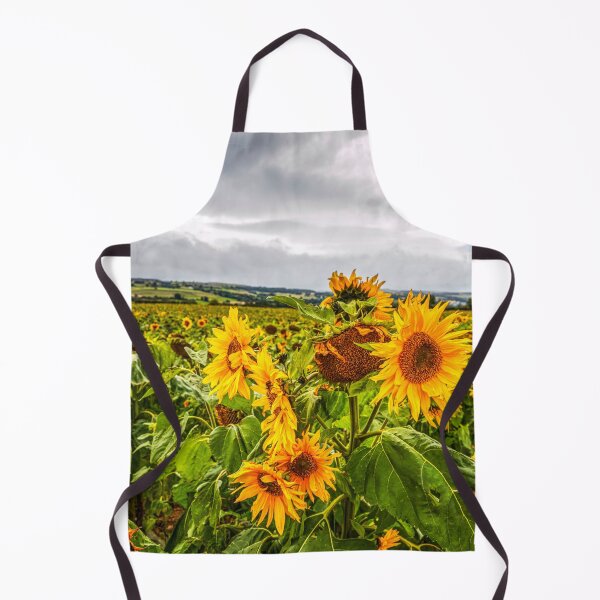 Item preview, Sunflowers designed and sold by Paul Thompson Photography.
