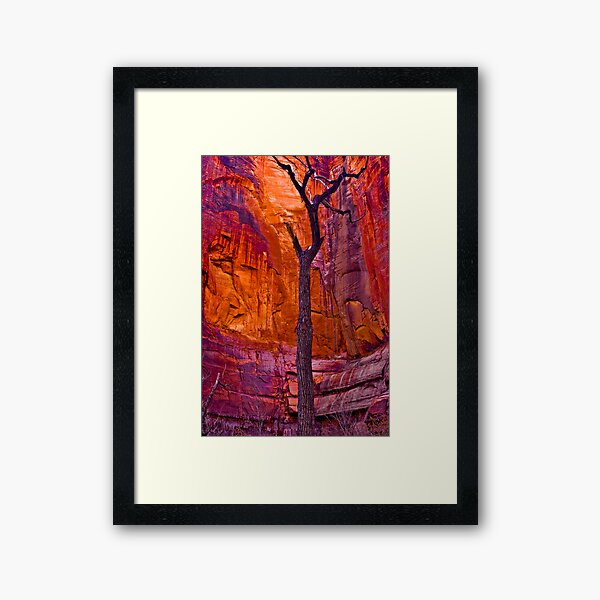Zions Crimson Cliffs Framed Art Print