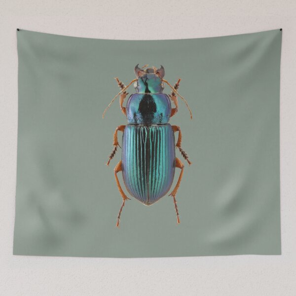 Item preview, Harpalus cupreus beetle designed and sold by MorningFive.
