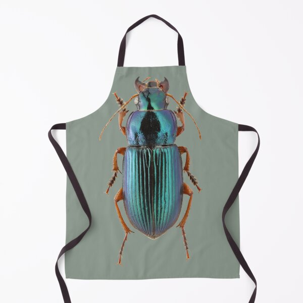 Item preview, Harpalus cupreus beetle designed and sold by MorningFive.