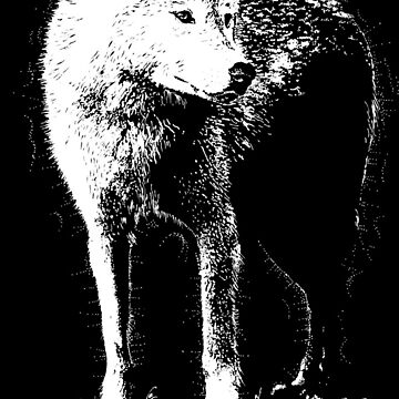Artwork thumbnail, Grandmother white wolf in pen + ink by drumweaver