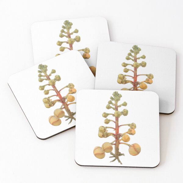 Item preview, Sala flowers Isolated designed and sold by pipikijung.
