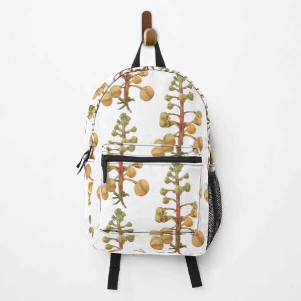 Item preview, Sala flowers Isolated designed and sold by pipikijung.