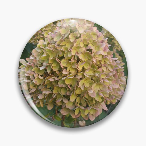 Item preview, In my garden designed and sold by mikistudio.