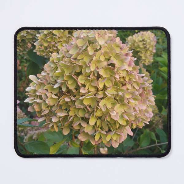 Item preview, In my garden designed and sold by mikistudio.
