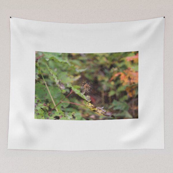 Item preview, Autumn Spider designed and sold by Melissa Glabay.