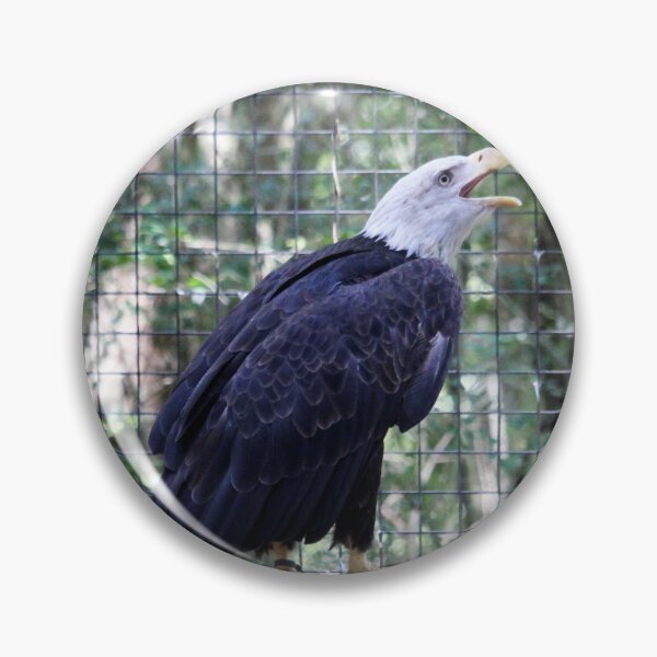 Item preview, Singing Bald Eagle designed and sold by Cynthia48.