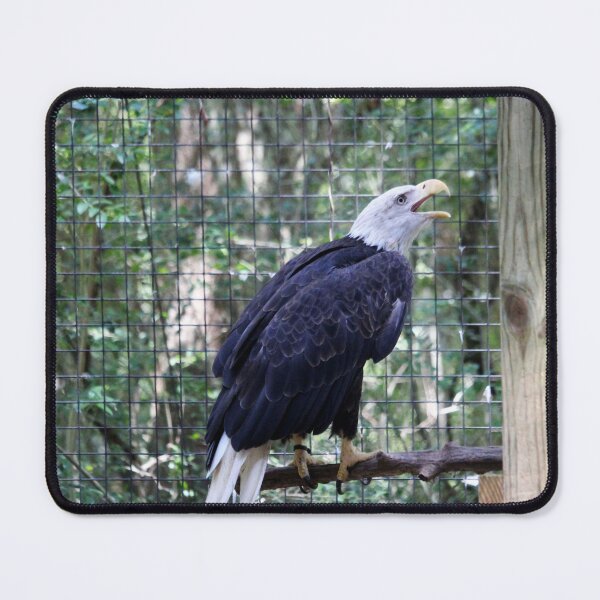 Item preview, Singing Bald Eagle designed and sold by Cynthia48.